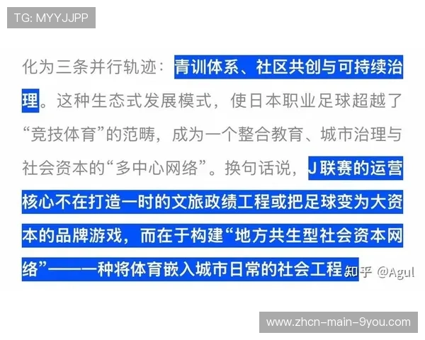 中国足球假赌黑专项整治处罚依据涉案金额、情节及社会影响